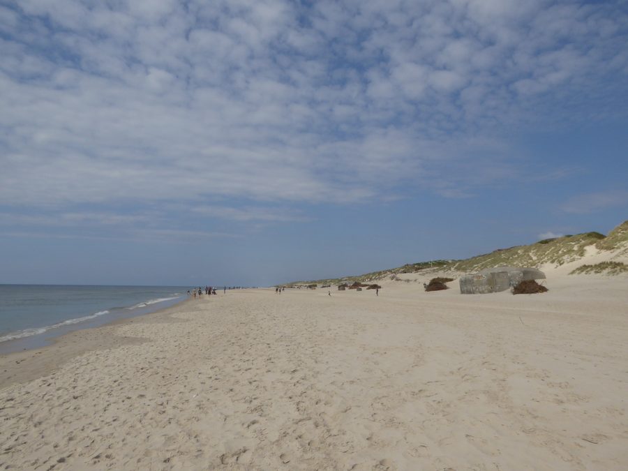 Beach on the North Sea near Søndervig in Midtjylland