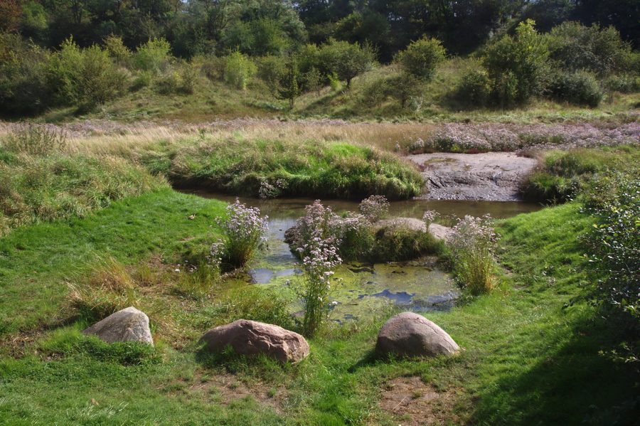 Salt spring in Sülldorf in Sülzetal