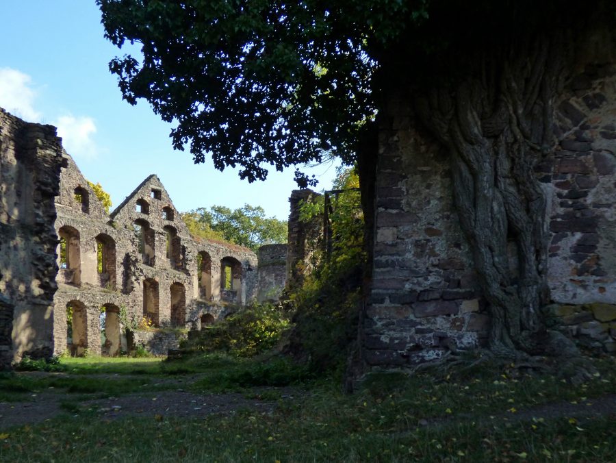 Świny Castle ruins near Bolków