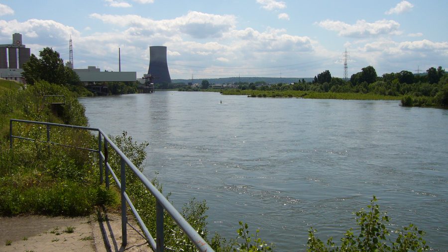 Weißenthurmer Werth in the Rhine near Weißenthurm