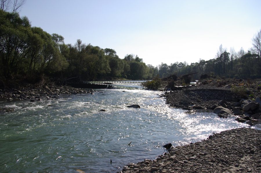 The Soła near Zasole Bielańskie