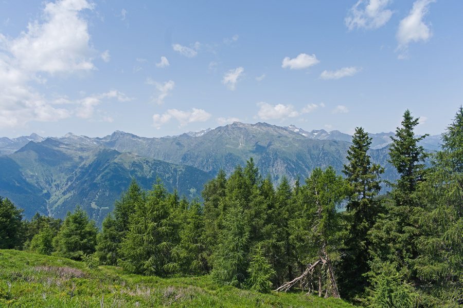 View of the Ötztal Alps and Texel Group from a trail near Schenna