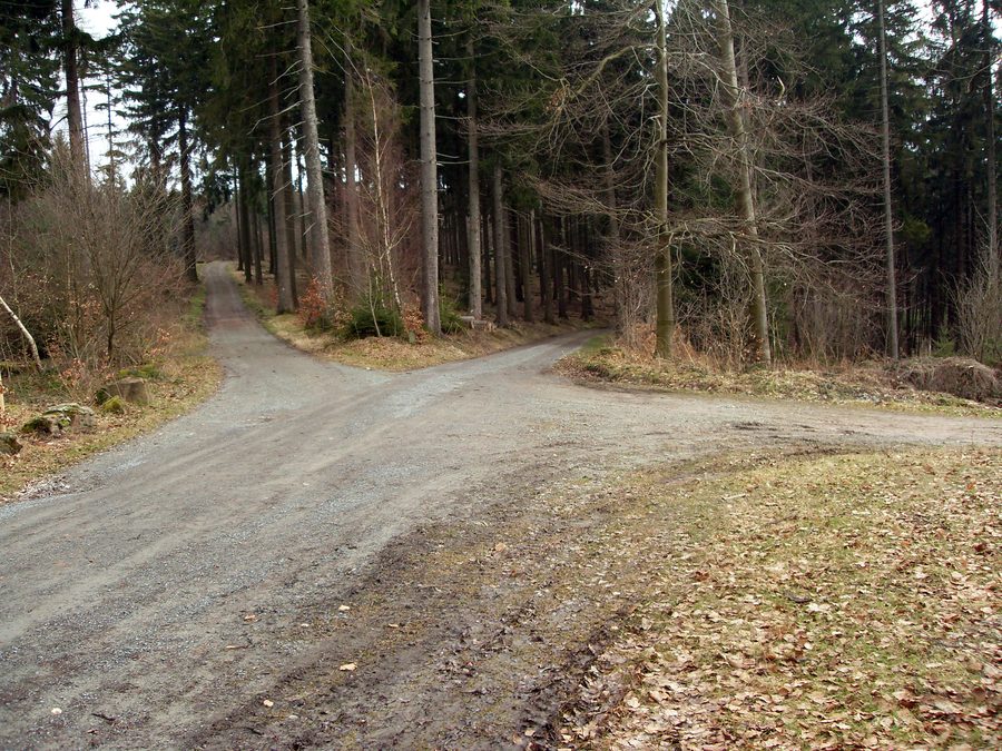 Forest path near Wilhelmsfeld with a view of the Teltschik Tower