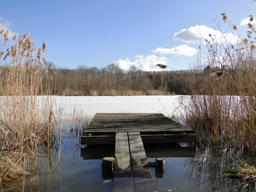 Large pond in Selmsdorf in the Nordwestmecklenburg district
