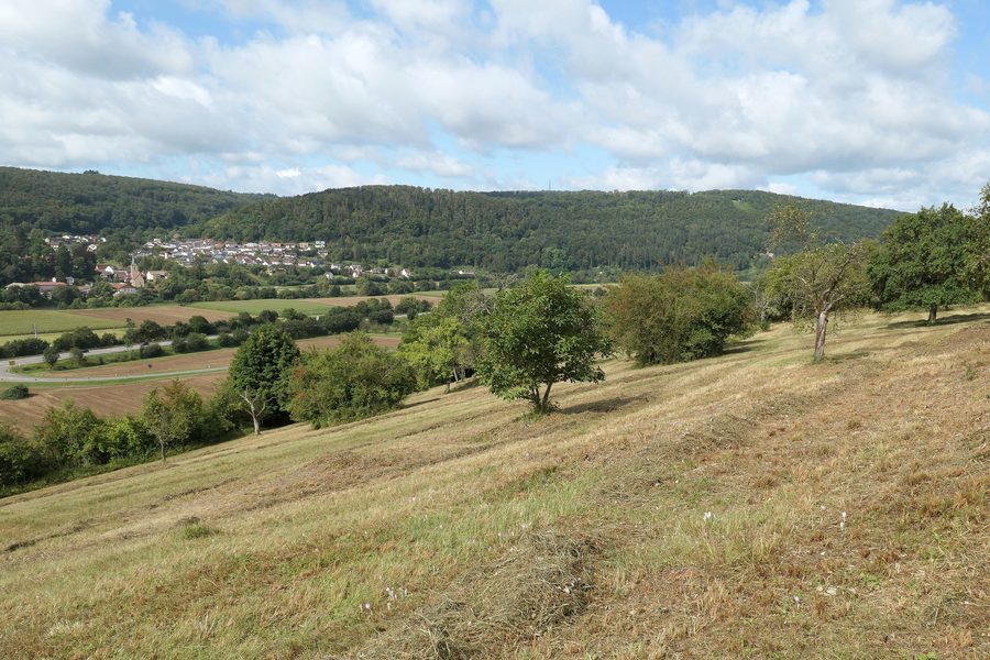 Auweinberge-Fuchsenloch nature reserve near Mosbach with a view of Hochhausen and the Neckar valley