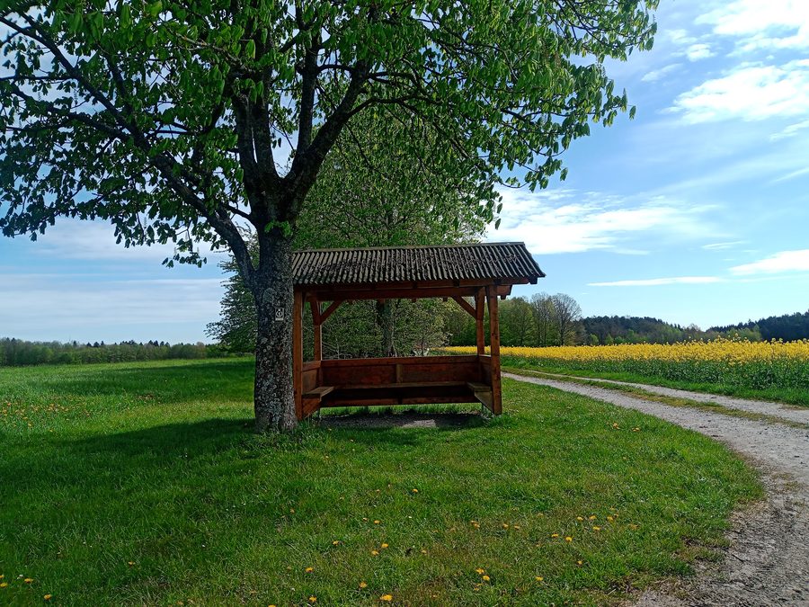 Shelter in the landscape near Mudau