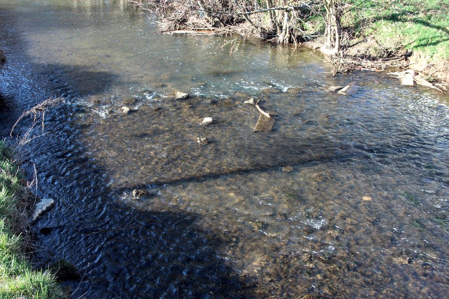 The Holzbach in Dierdorf