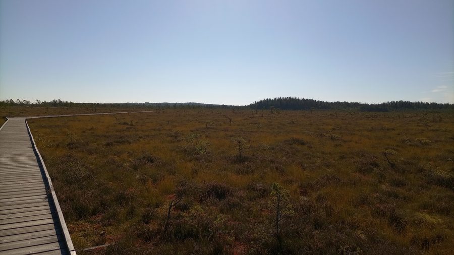 Boardwalk through the Stora Mosse bog area in the municipality of Gnosjö