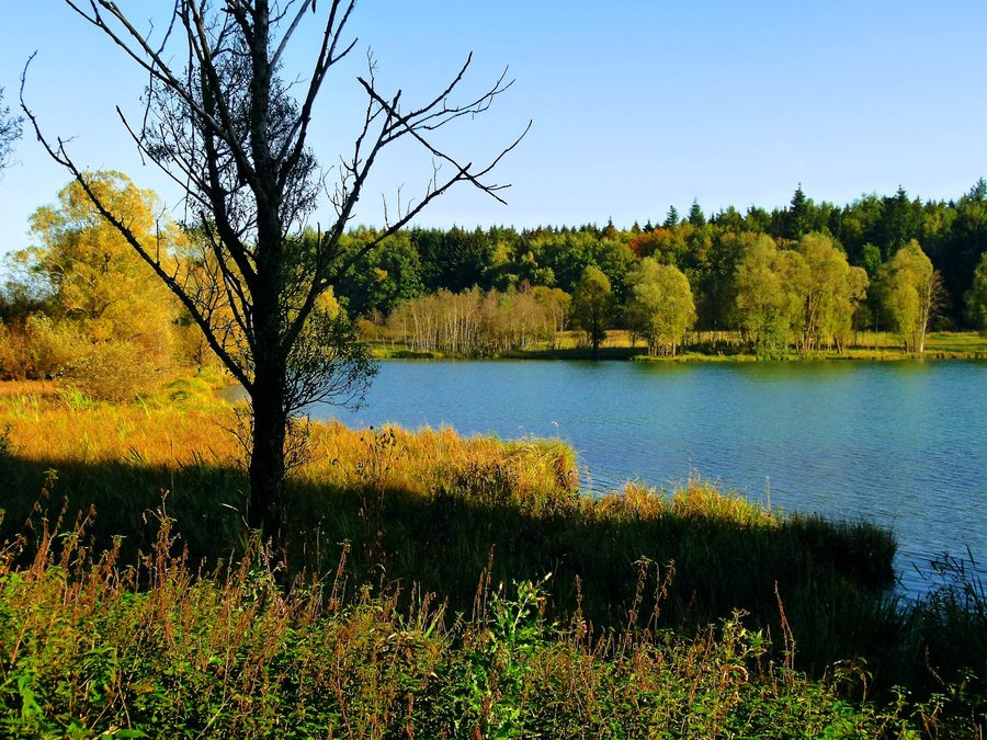 Landscape view of the Schwackenreuter Seenplatte with several lakes and shoreline vegetation