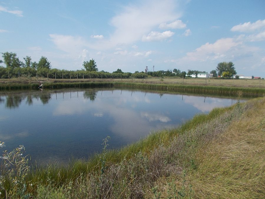 Small reservoir in Kiskunság National Park near Kunszentmiklós