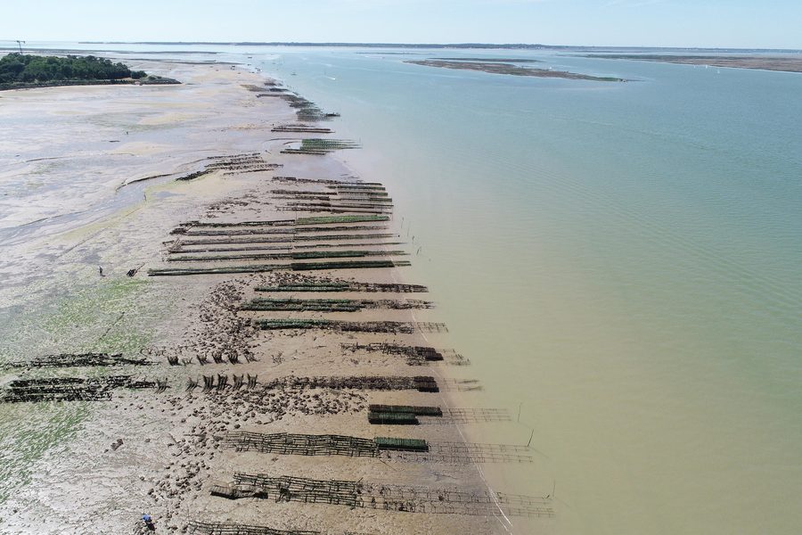 Oyster beds at the mouth of the Seudre in Charente-Maritime
