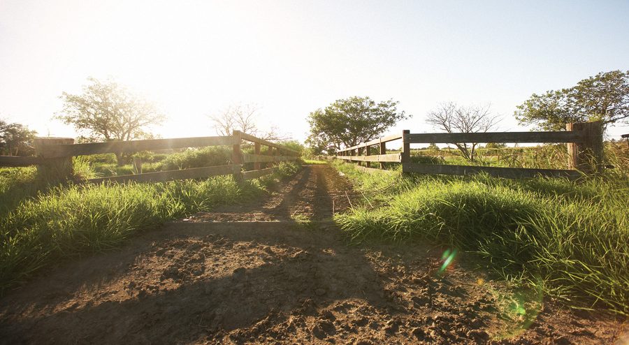 Agricultural farm in the Adelaide Hills in South Australia