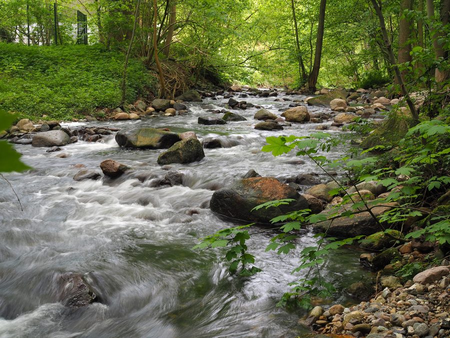 Old arm of the Schwentine in Schwentinental
