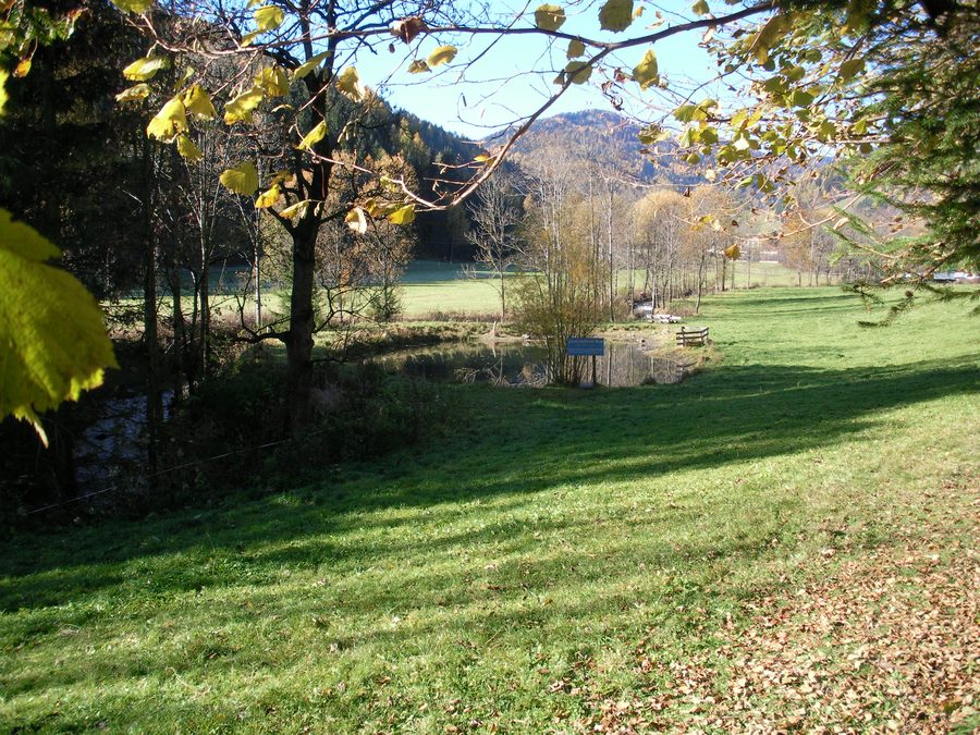 Landschaftsteich Moschitz in Oberzeiring in front of a wooded mountain landscape
