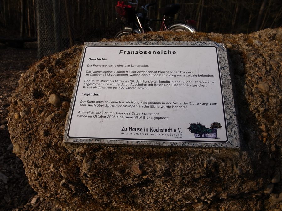 Information sign at the Franzoseneiche in Dessau-Kochstedt