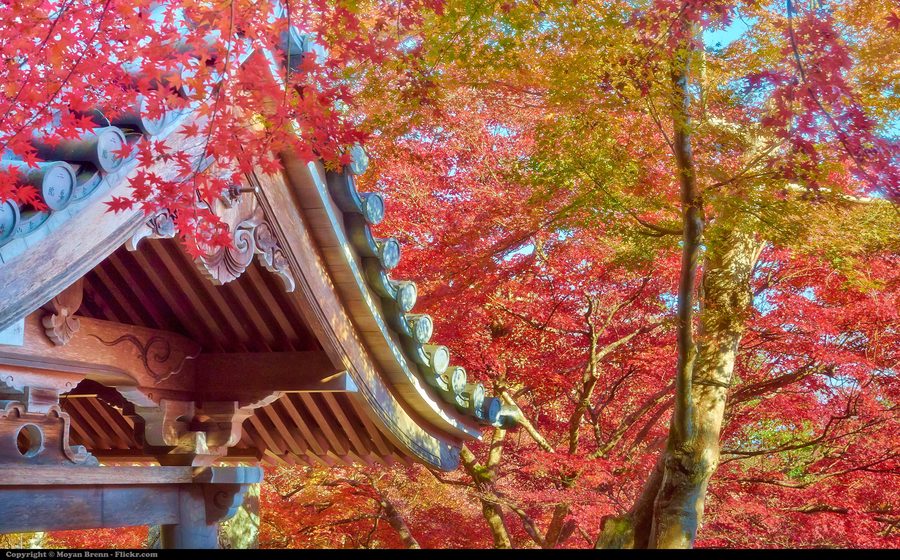 Temple roof in Arashiyama, Kyoto