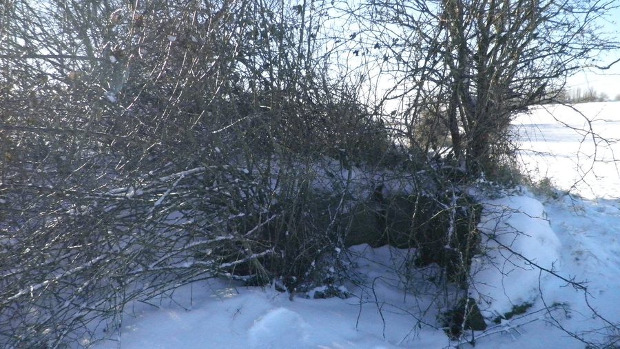 Ennebølle Jættestue on Langeland
