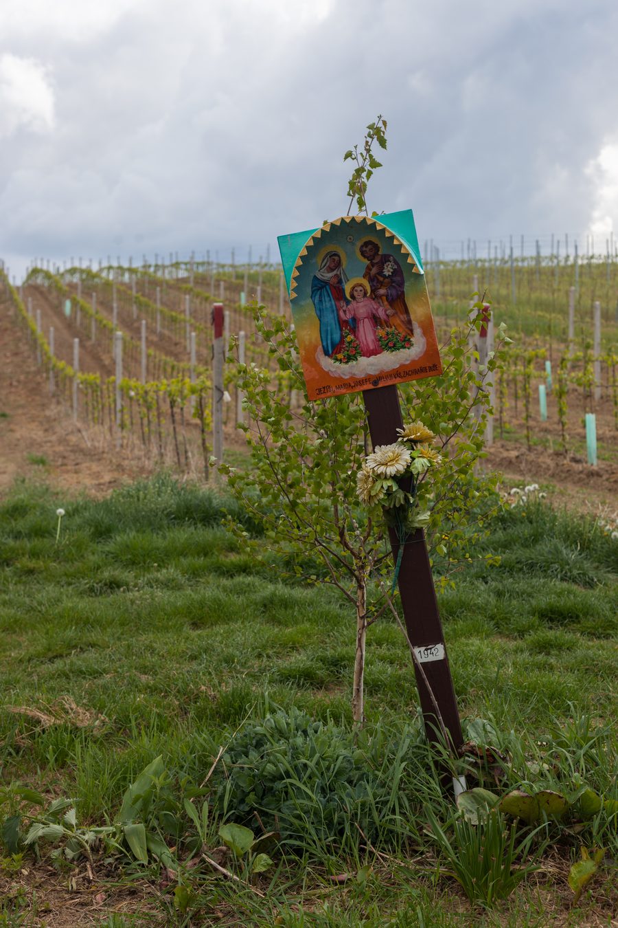 Wine column in the vineyards near ÄŒejkovice in South Moravia