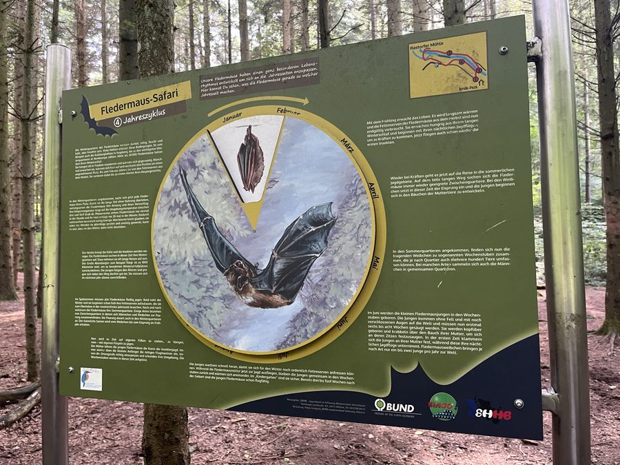 Information board for the bat safari in the Schwentinepark