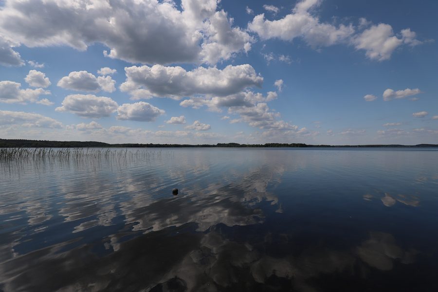 View of Parsteiner See in Brandenburg