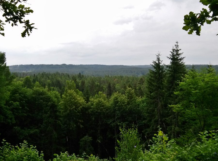View over Gauja National Park from Rūsiņš Hill