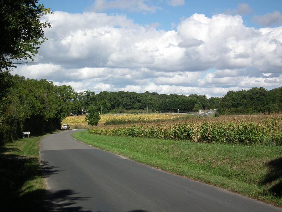 Landscape in Breuillet, Charente-Maritime
