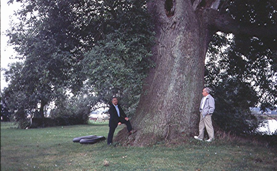 Large oak tree near Beuvardes