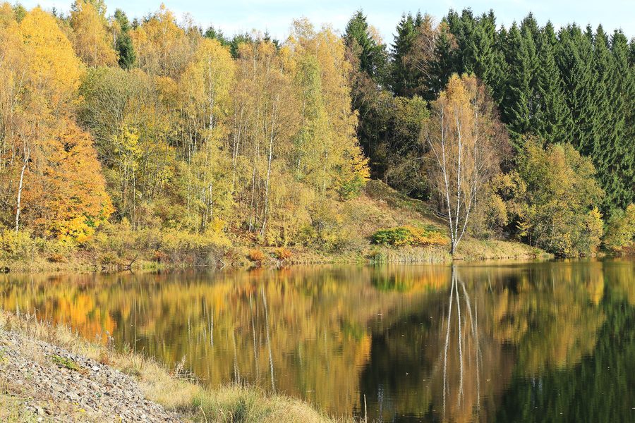 Talsperre Eibenstock in Saxony, surrounded by wooded Ore Mountains landscape