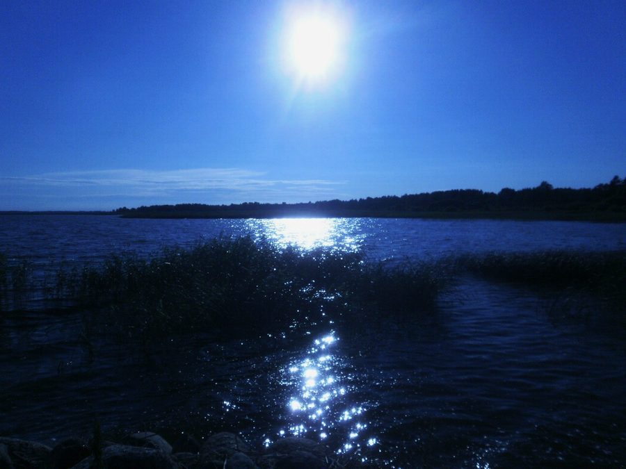 Shore of Võrtsjärv near Vaibla in Estonia