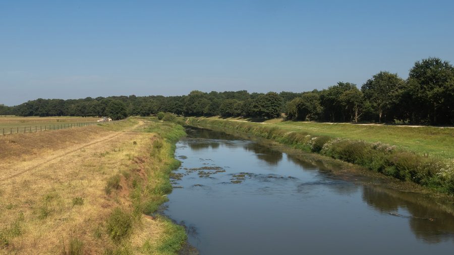 The Hase between Haselünne and Dohren in a green river landscape
