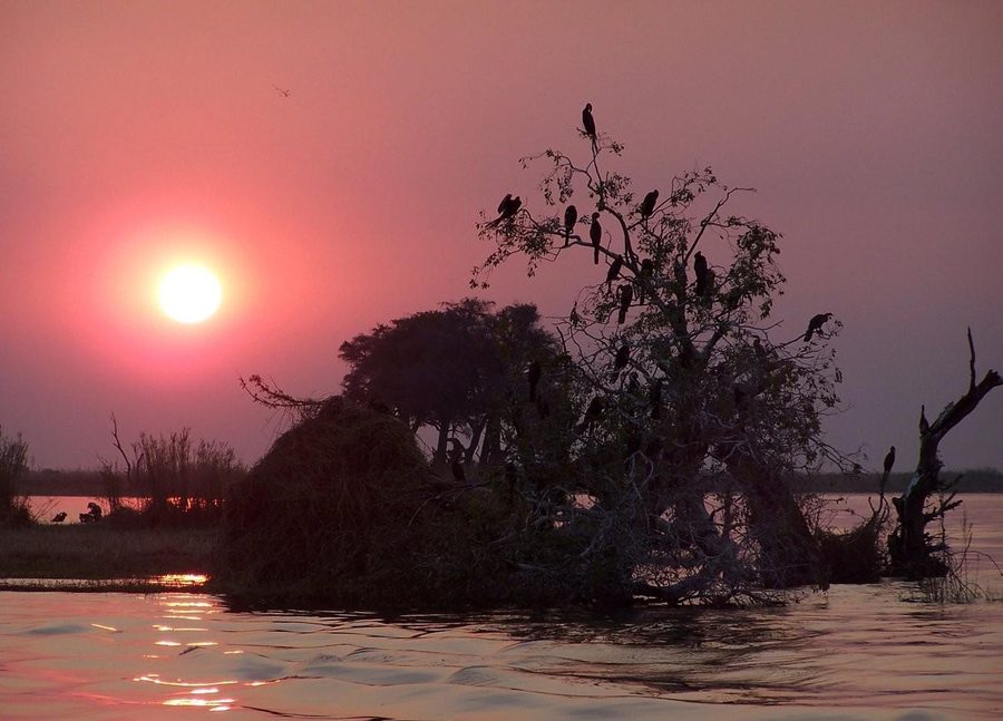 River landscape on the Chobe River in Namibia
