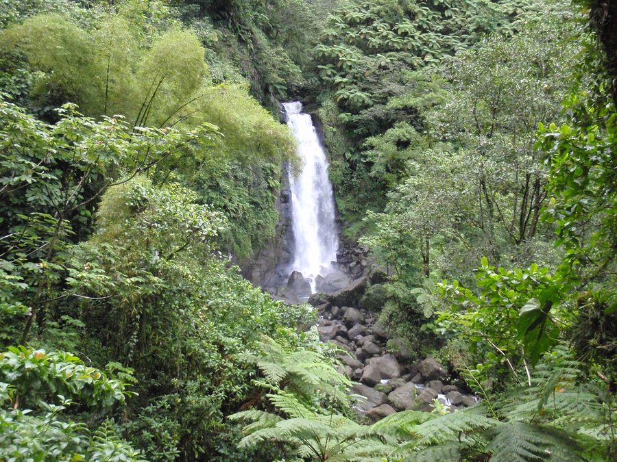 Trafalgar Falls on Dominica