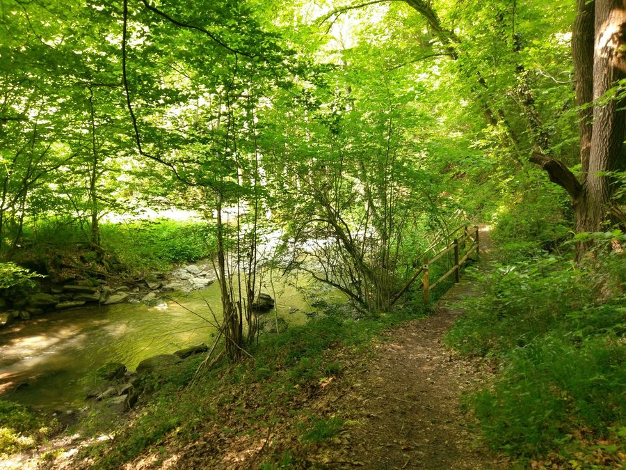 The Dörsbach in the Jammertal near Katzenelnbogen in the Rhine-Lahn district