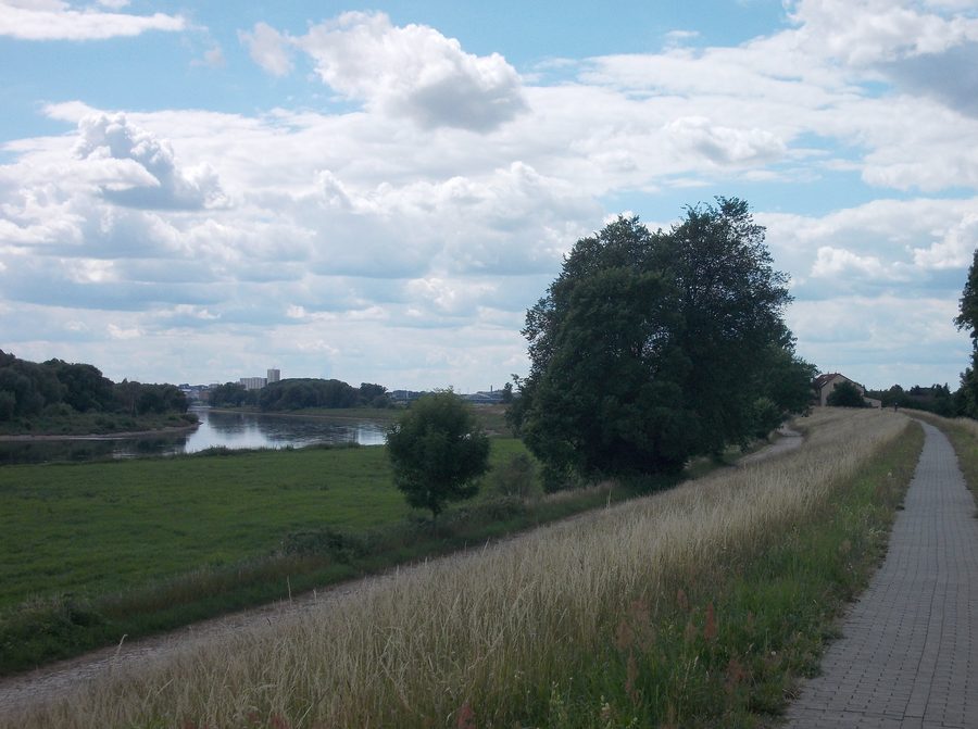 The Elbe near Moritz in the Meißen district