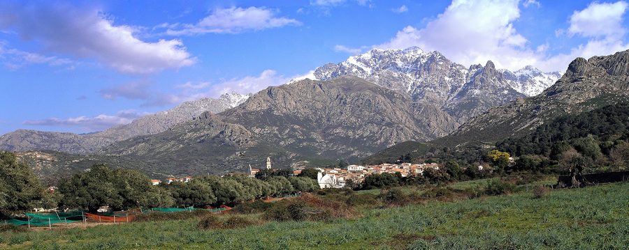 Panorama of Calenzana on Corsica with olive groves