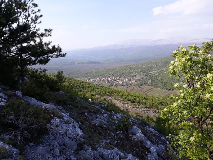 View of the locality of Velić in Croatia