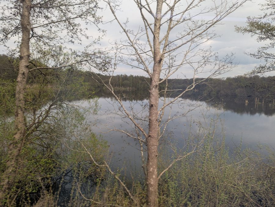 View of the northern part of Lake Behler in the vicinity of Timmdorf