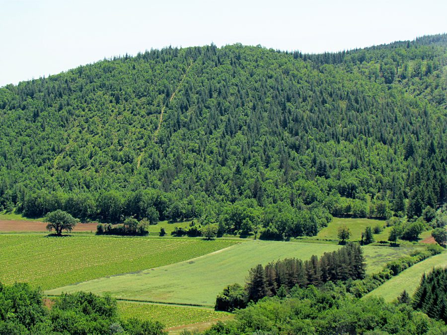 Landscape of the Causses du Quercy Regional Natural Park